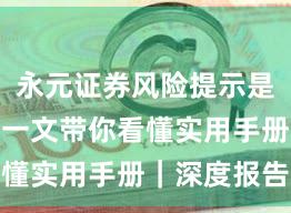 永元证券风险提示是否可靠？一文带你看懂实用手册｜深度报告