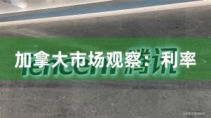 加拿大市场观察：利率