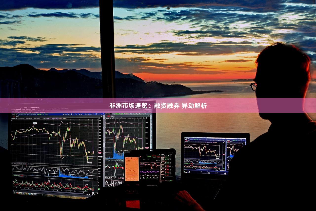非洲市场速览：融资融券 异动解析