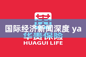 国际经济新闻深度 ya
