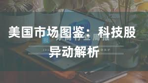 美国市场图鉴：科技股 异动解析