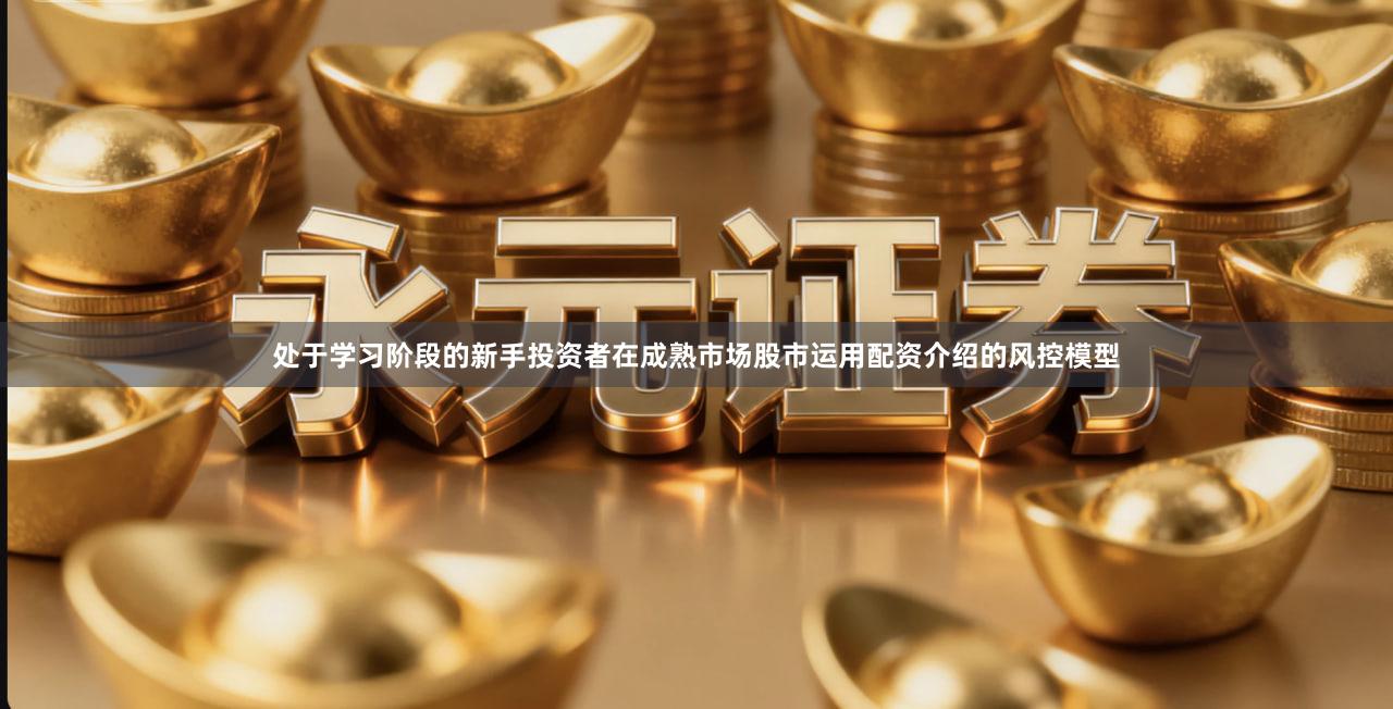 处于学习阶段的新手投资者在成熟市场股市运用配资介绍的风控模型